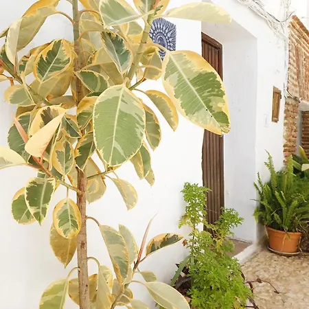 Pizarrillas: Tu Hogar En Blanco Pueblo Dom wakacyjny *